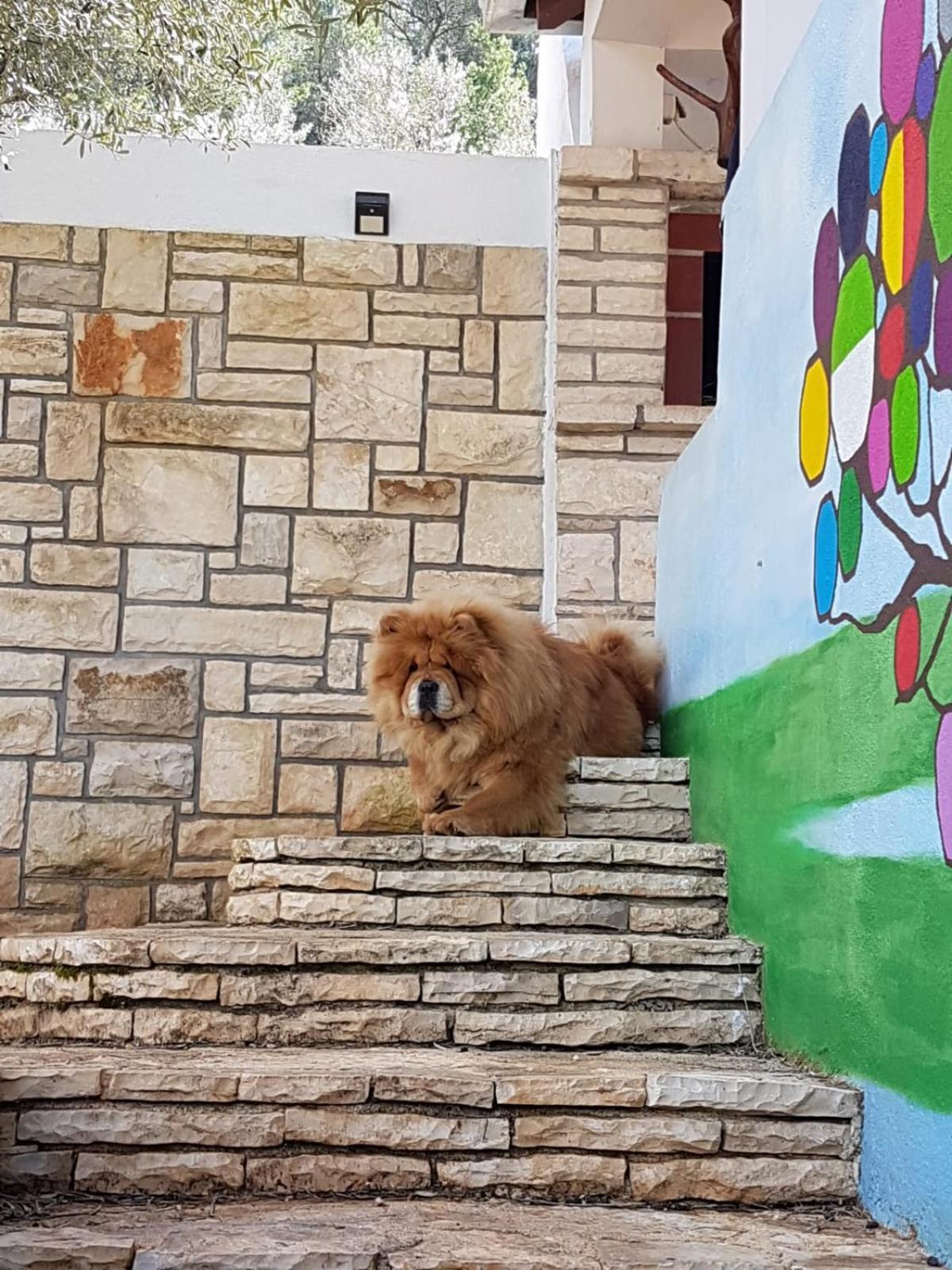 Holiday Home Liberan Vela Luka Zewnętrze zdjęcie